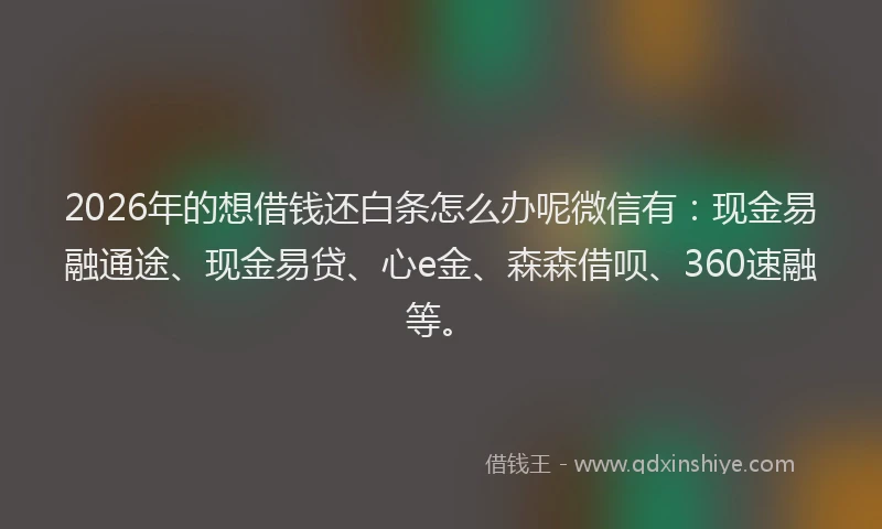 2026年的想借钱还白条怎么办呢微信有：现金易融通途、现金易贷、心e金、森森借呗、360速融等。