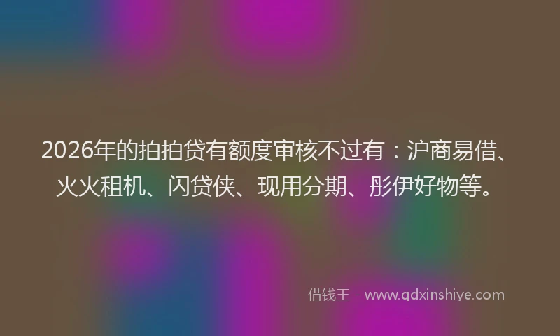 2026年的拍拍贷有额度审核不过有：沪商易借、火火租机、闪贷侠、现用分期、彤伊好物等。