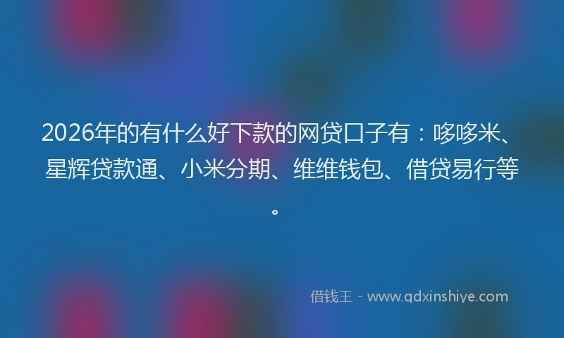 2026年的有什么好下款的网贷口子有：哆哆米、星辉贷款通、小米分期、维维钱包、借贷易行等。