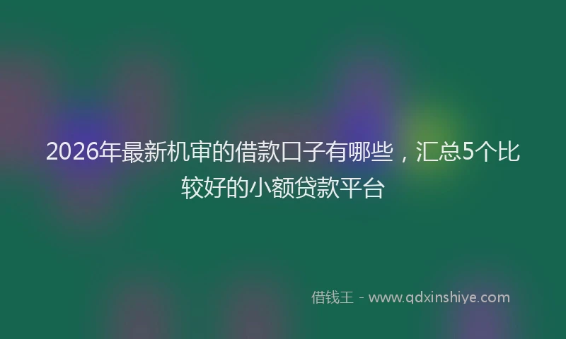2026年最新机审的借款口子有哪些，汇总5个比较好的小额贷款平台