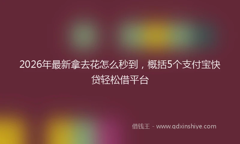 2026年最新拿去花怎么秒到，概括5个支付宝快贷轻松借平台
