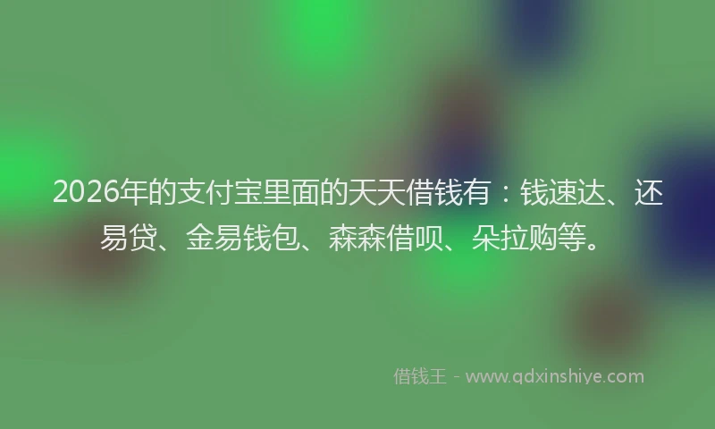 2026年的支付宝里面的天天借钱有：钱速达、还易贷、金易钱包、森森借呗、朵拉购等。