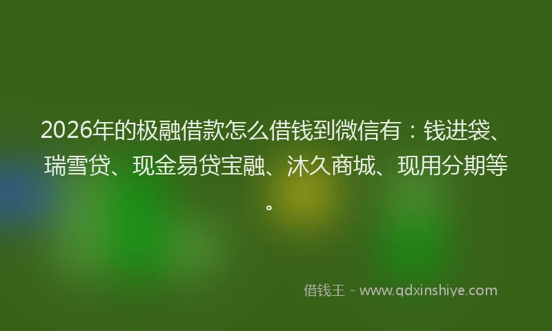 2026年的极融借款怎么借钱到微信有：钱进袋、瑞雪贷、现金易贷宝融、沐久商城、现用分期等。