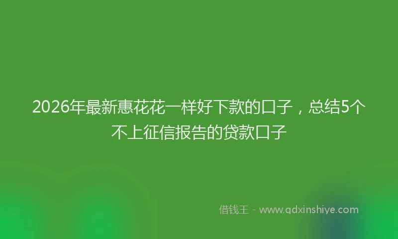 2026年最新惠花花一样好下款的口子，总结5个不上征信报告的贷款口子