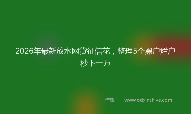 2026年最新放水网贷征信花，整理5个黑户烂户秒下一万