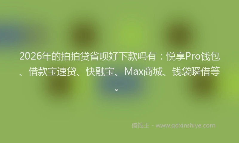 2026年的拍拍贷省呗好下款吗有：悦享Pro钱包、借款宝速贷、快融宝、Max商城、钱袋瞬借等。