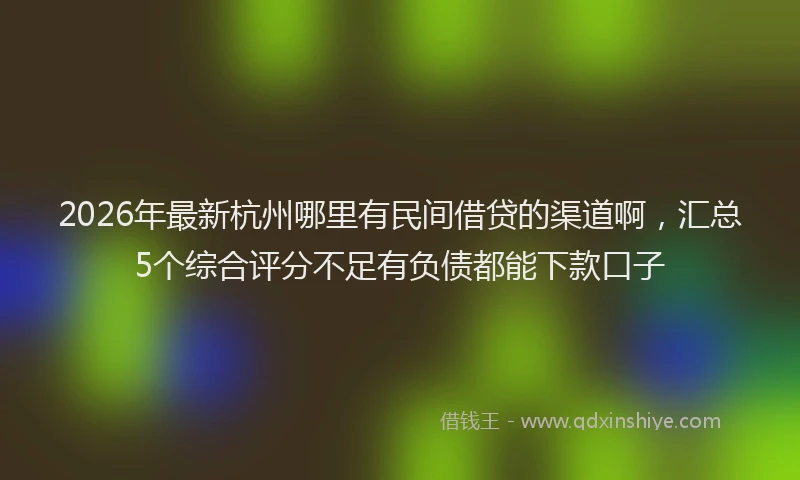 2026年最新杭州哪里有民间借贷的渠道啊，汇总5个综合评分不足有负债都能下款口子