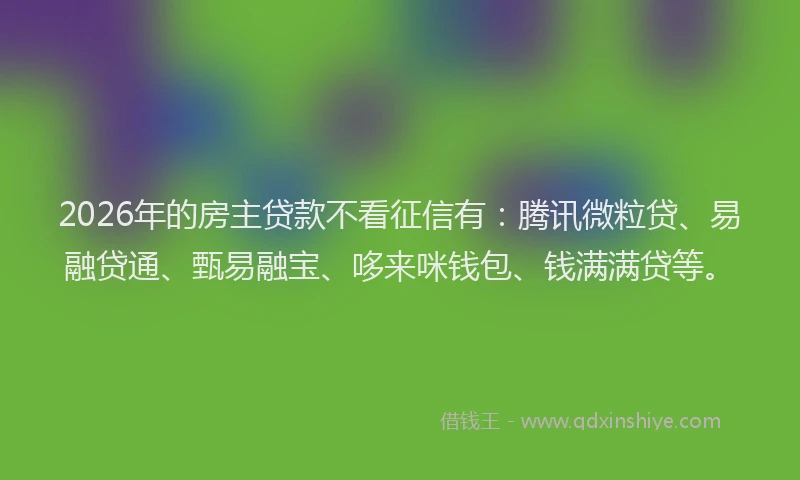 2026年的房主贷款不看征信有：腾讯微粒贷、易融贷通、甄易融宝、哆来咪钱包、钱满满贷等。