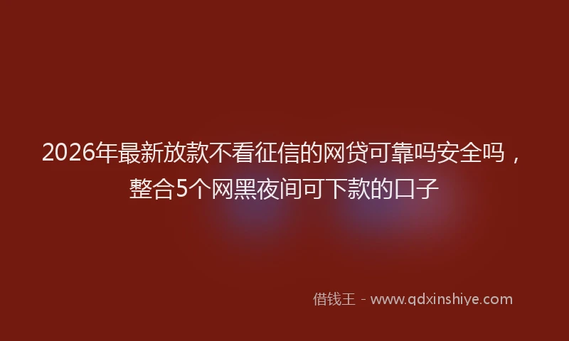 2026年最新放款不看征信的网贷可靠吗安全吗，整合5个网黑夜间可下款的口子