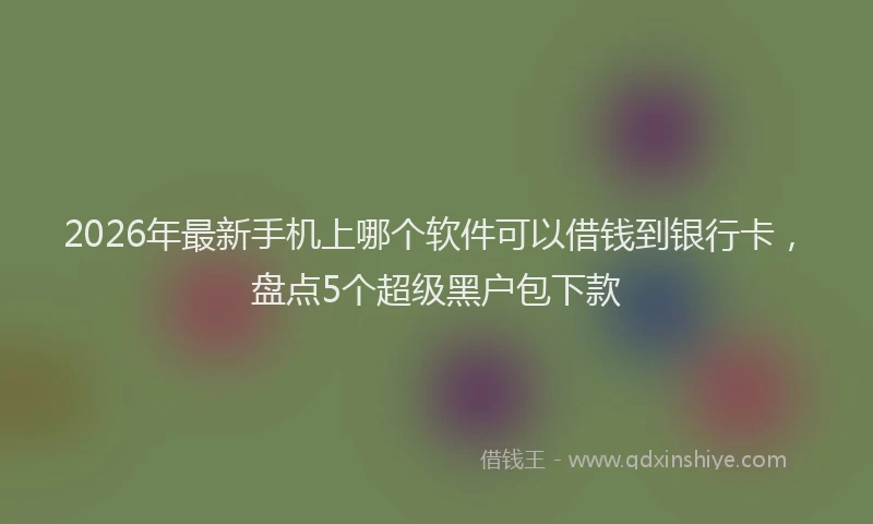 2026年最新手机上哪个软件可以借钱到银行卡，盘点5个超级黑户包下款