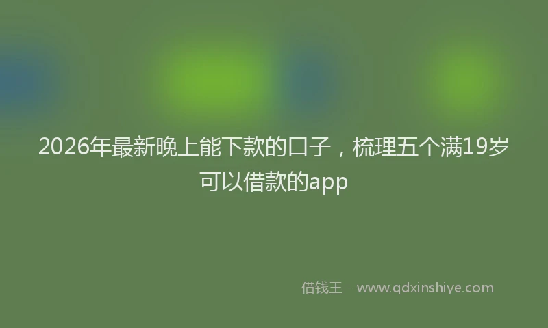 2026年最新晚上能下款的口子，梳理五个满19岁可以借款的app