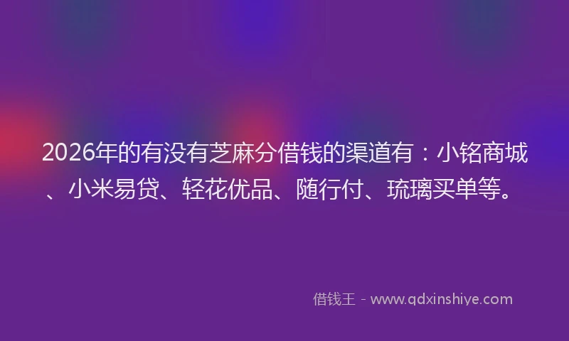2026年的有没有芝麻分借钱的渠道有：小铭商城、小米易贷、轻花优品、随行付、琉璃买单等。