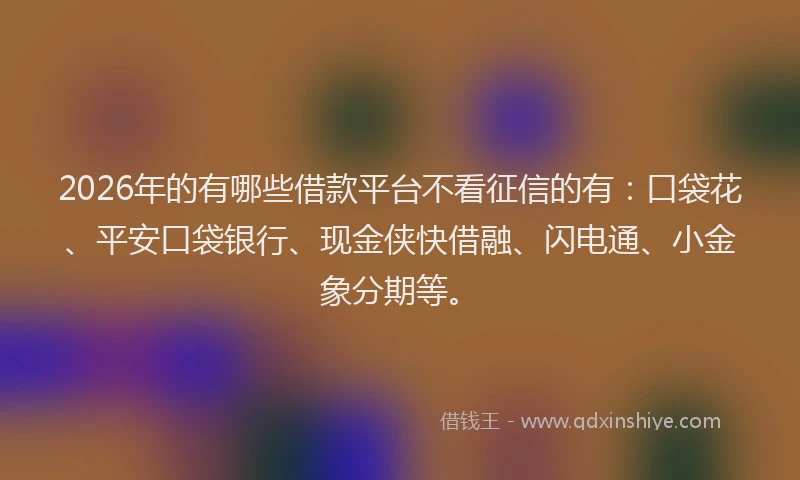 2026年的有哪些借款平台不看征信的有：口袋花、平安口袋银行、现金侠快借融、闪电通、小金象分期等。