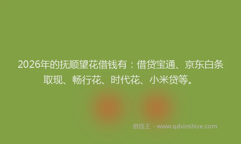 2026年的抚顺望花借钱有：借贷宝通、京东白条取现、畅行花、时代花、小米贷等。