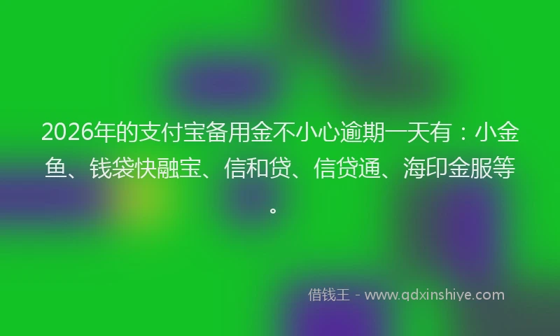 2026年的支付宝备用金不小心逾期一天有：小金鱼、钱袋快融宝、信和贷、信贷通、海印金服等。