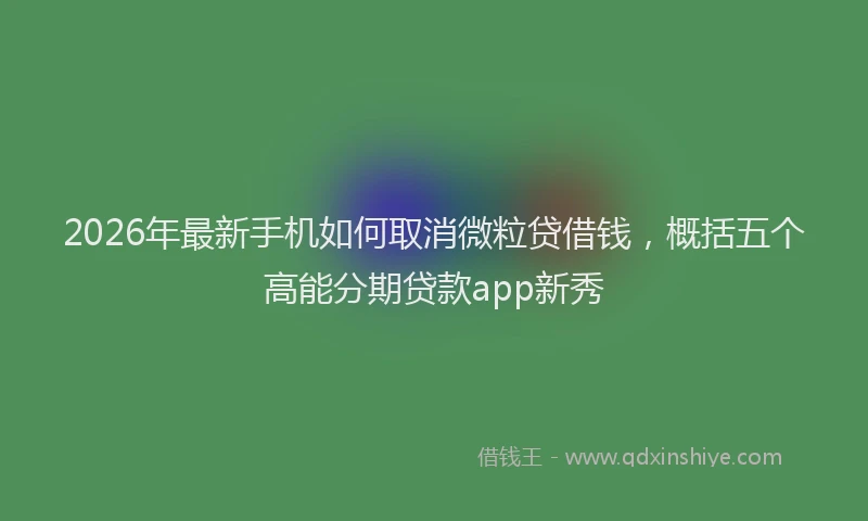 2026年最新手机如何取消微粒贷借钱，概括五个高能分期贷款app新秀