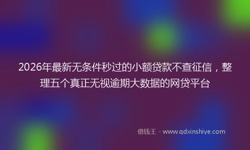2026年最新无条件秒过的小额贷款不查征信，整理五个真正无视逾期大数据的网贷平台