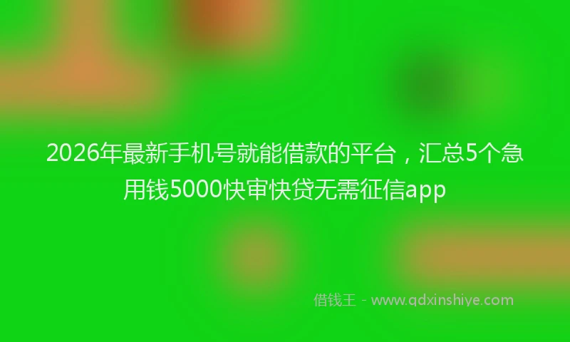 2026年最新手机号就能借款的平台，汇总5个急用钱5000快审快贷无需征信app