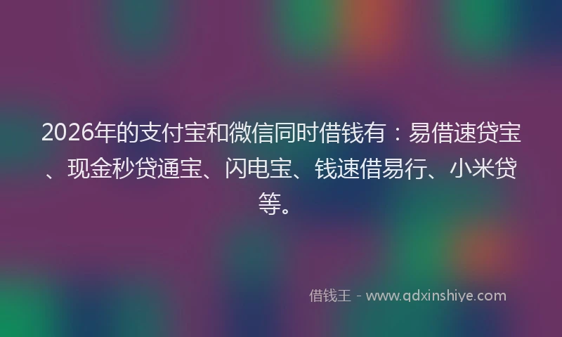 2026年的支付宝和微信同时借钱有：易借速贷宝、现金秒贷通宝、闪电宝、钱速借易行、小米贷等。
