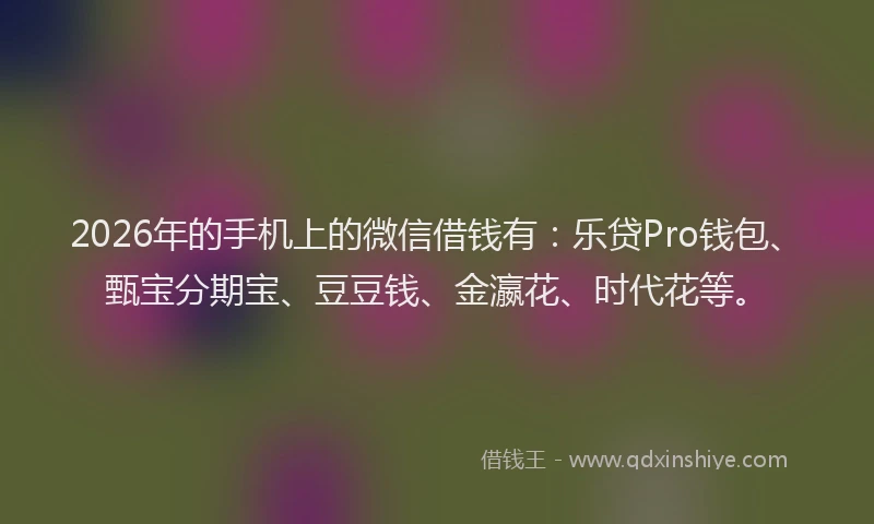 2026年的手机上的微信借钱有：乐贷Pro钱包、甄宝分期宝、豆豆钱、金瀛花、时代花等。