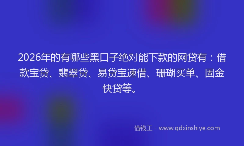 2026年的有哪些黑口子绝对能下款的网贷有：借款宝贷、翡翠贷、易贷宝速借、珊瑚买单、固金快贷等。