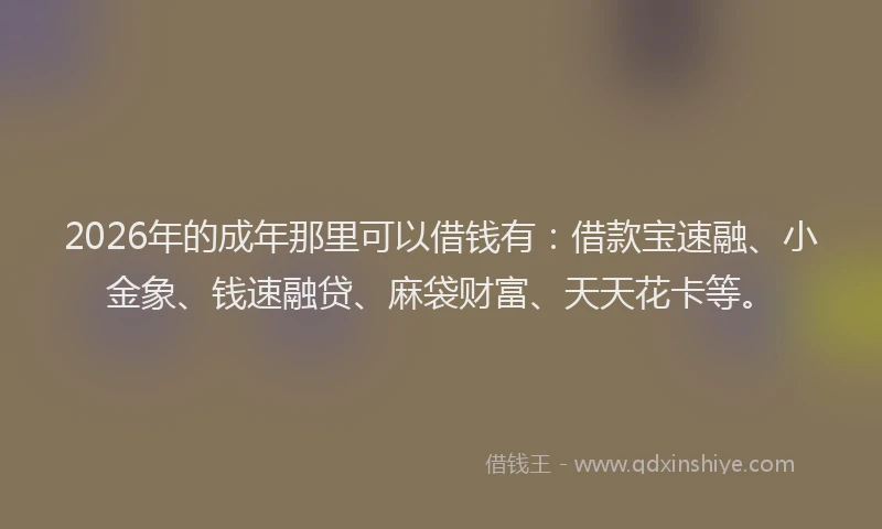 2026年的成年那里可以借钱有：借款宝速融、小金象、钱速融贷、麻袋财富、天天花卡等。