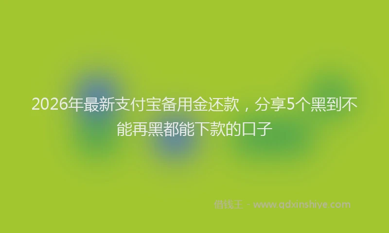 2026年最新支付宝备用金还款，分享5个黑到不能再黑都能下款的口子