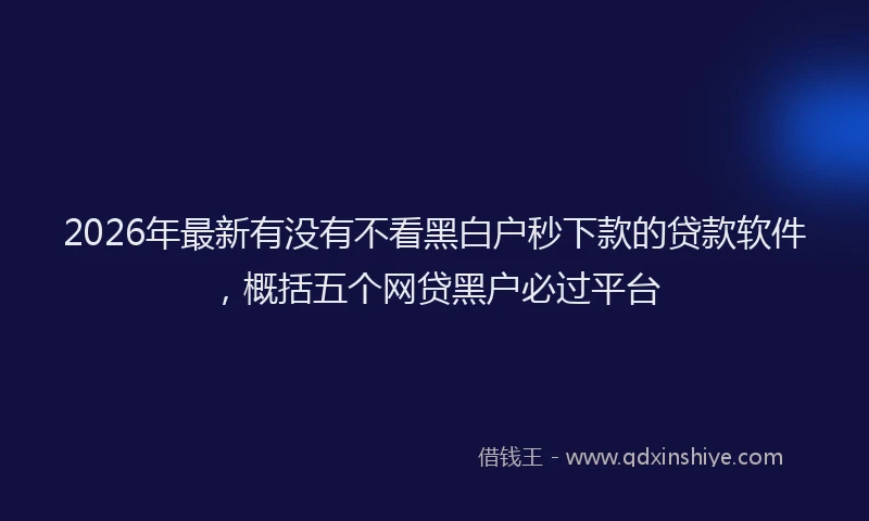 2026年最新有没有不看黑白户秒下款的贷款软件，概括五个网贷黑户必过平台