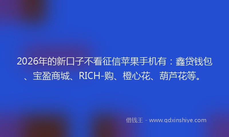 2026年的新口子不看征信苹果手机有：鑫贷钱包、宝盈商城、RICH-购、橙心花、葫芦花等。