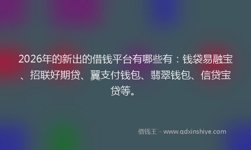 2026年的新出的借钱平台有哪些有：钱袋易融宝、招联好期贷、翼支付钱包、翡翠钱包、信贷宝贷等。