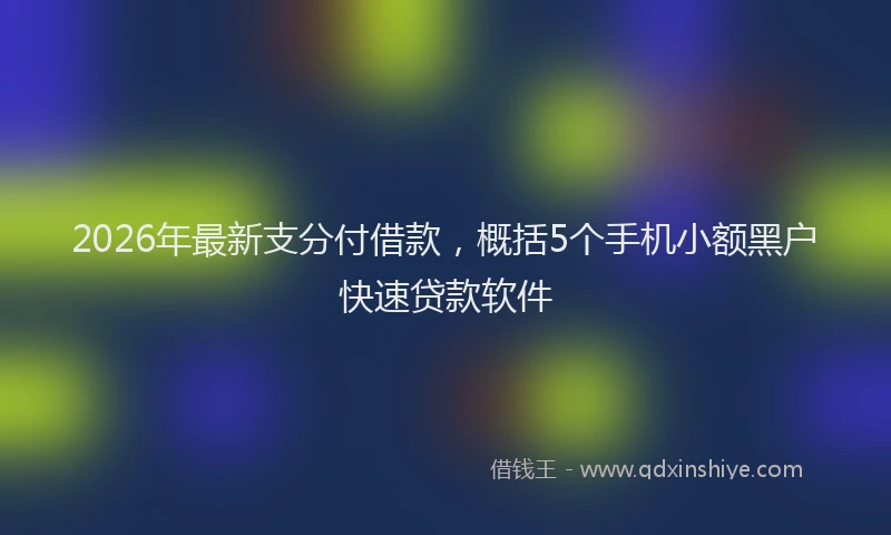 2026年最新支分付借款，概括5个手机小额黑户快速贷款软件