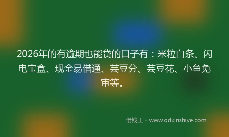 2026年的有逾期也能贷的口子有：米粒白条、闪电宝盒、现金易借通、芸豆分、芸豆花、小鱼免审等。