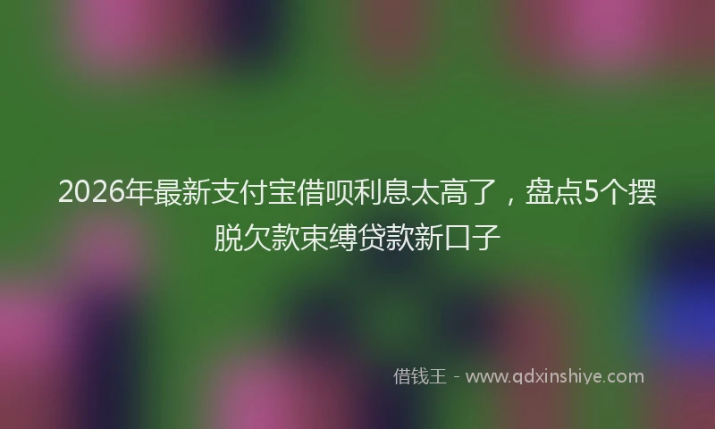 2026年最新支付宝借呗利息太高了，盘点5个摆脱欠款束缚贷款新口子