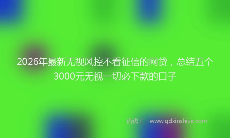 2026年最新无视风控不看征信的网贷，总结五个3000元无视一切必下款的口子