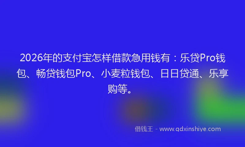 2026年的支付宝怎样借款急用钱有：乐贷Pro钱包、畅贷钱包Pro、小麦粒钱包、日日贷通、乐享购等。