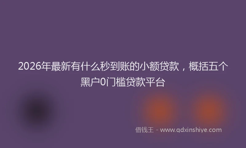 2026年最新有什么秒到账的小额贷款，概括五个黑户0门槛贷款平台