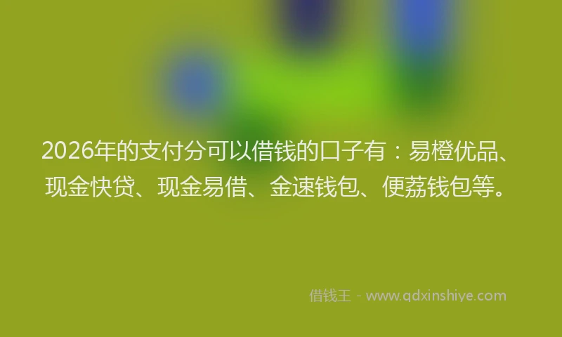2026年的支付分可以借钱的口子有：易橙优品、现金快贷、现金易借、金速钱包、便荔钱包等。