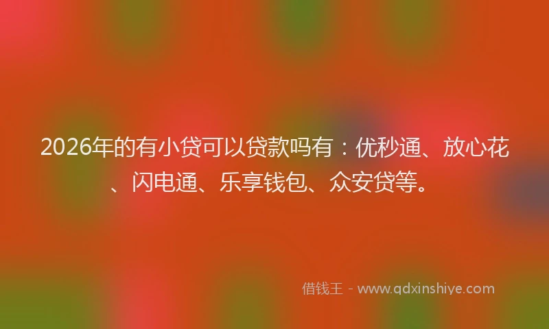 2026年的有小贷可以贷款吗有：优秒通、放心花、闪电通、乐享钱包、众安贷等。