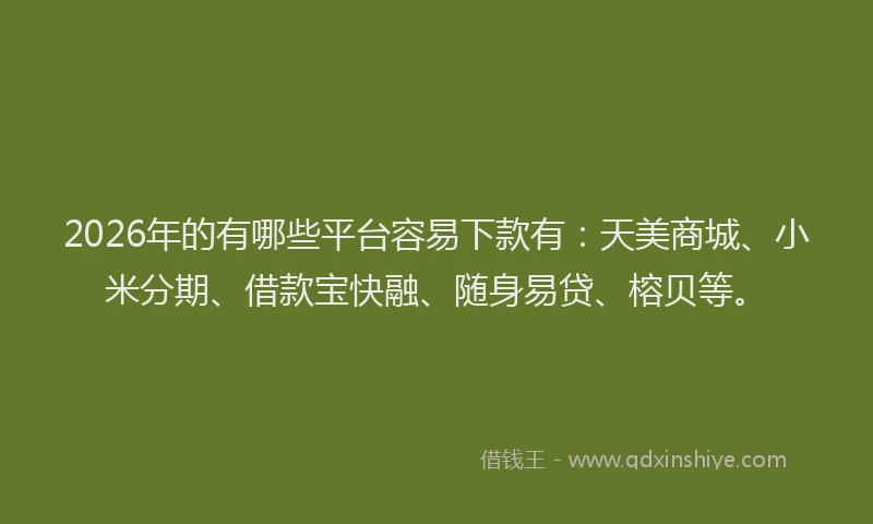 2026年的有哪些平台容易下款有：天美商城、小米分期、借款宝快融、随身易贷、榕贝等。