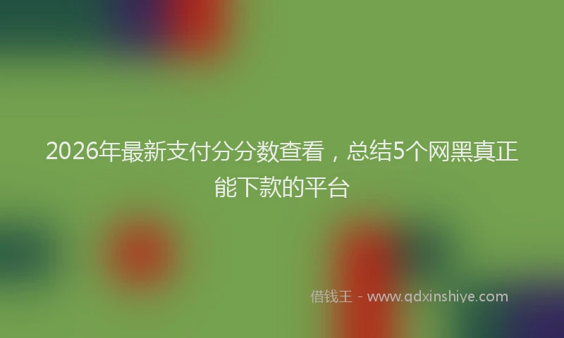 2026年最新支付分分数查看，总结5个网黑真正能下款的平台