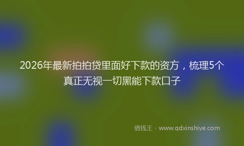 2026年最新拍拍贷里面好下款的资方，梳理5个真正无视一切黑能下款口子