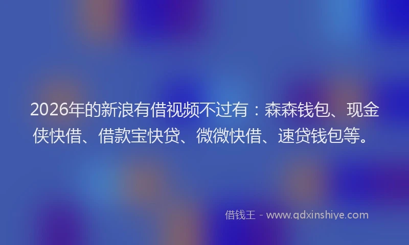 2026年的新浪有借视频不过有：森森钱包、现金侠快借、借款宝快贷、微微快借、速贷钱包等。