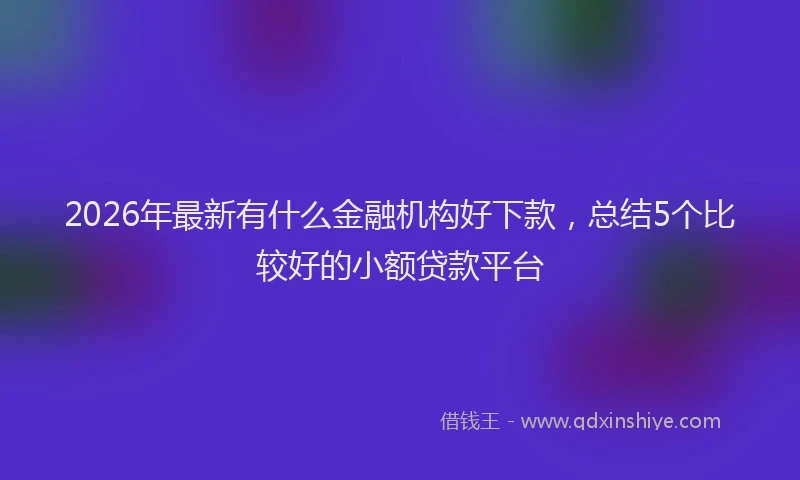 2026年最新有什么金融机构好下款，总结5个比较好的小额贷款平台