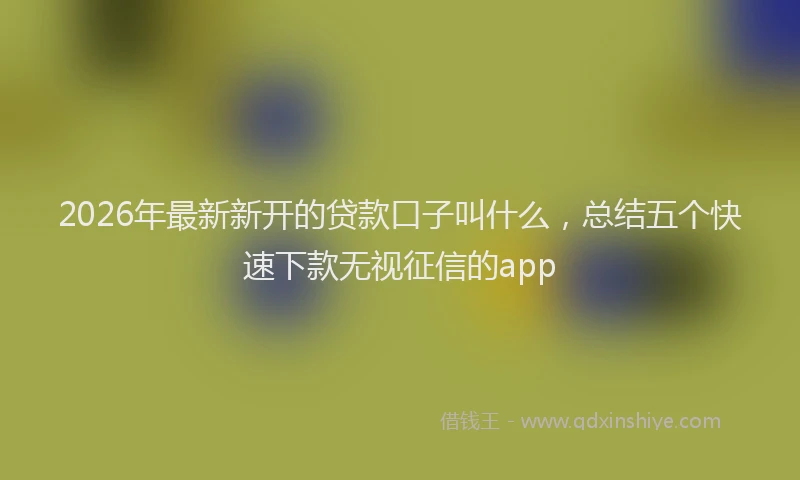 2026年最新新开的贷款口子叫什么，总结五个快速下款无视征信的app