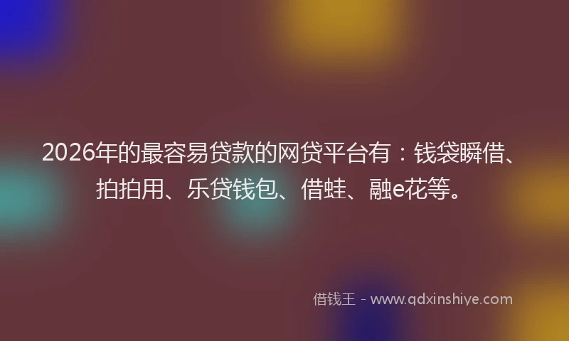 2026年的最容易贷款的网贷平台有：钱袋瞬借、拍拍用、乐贷钱包、借蛙、融e花等。