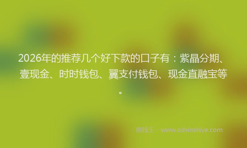 2026年的推荐几个好下款的口子有：紫晶分期、壹现金、时时钱包、翼支付钱包、现金直融宝等。