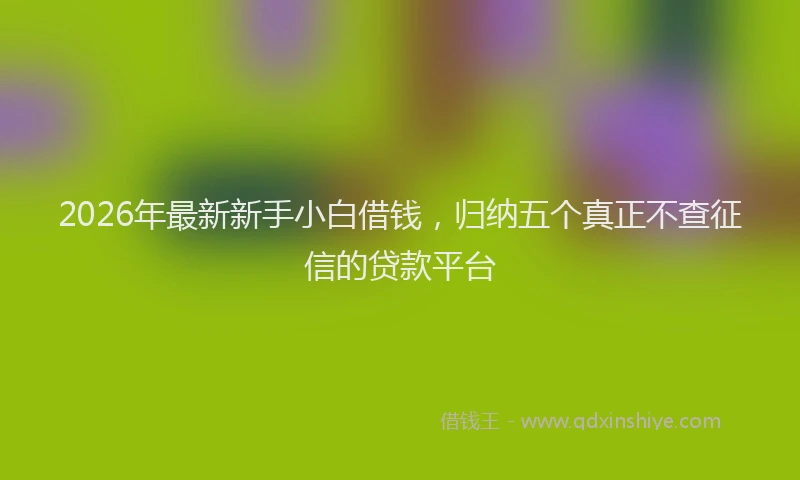 2026年最新新手小白借钱，归纳五个真正不查征信的贷款平台
