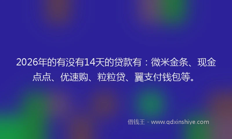 2026年的有没有14天的贷款有：微米金条、现金点点、优速购、粒粒贷、翼支付钱包等。
