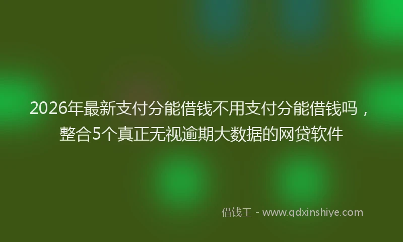2026年最新支付分能借钱不用支付分能借钱吗，整合5个真正无视逾期大数据的网贷软件