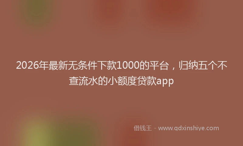 2026年最新无条件下款1000的平台，归纳五个不查流水的小额度贷款app